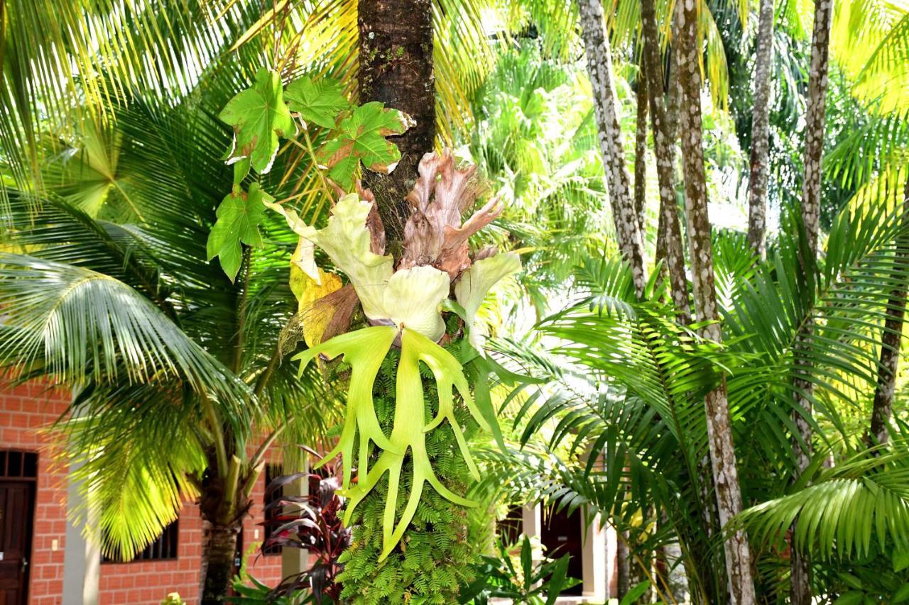 Hotel Ambaibo Rurrenabaque Luaran gambar